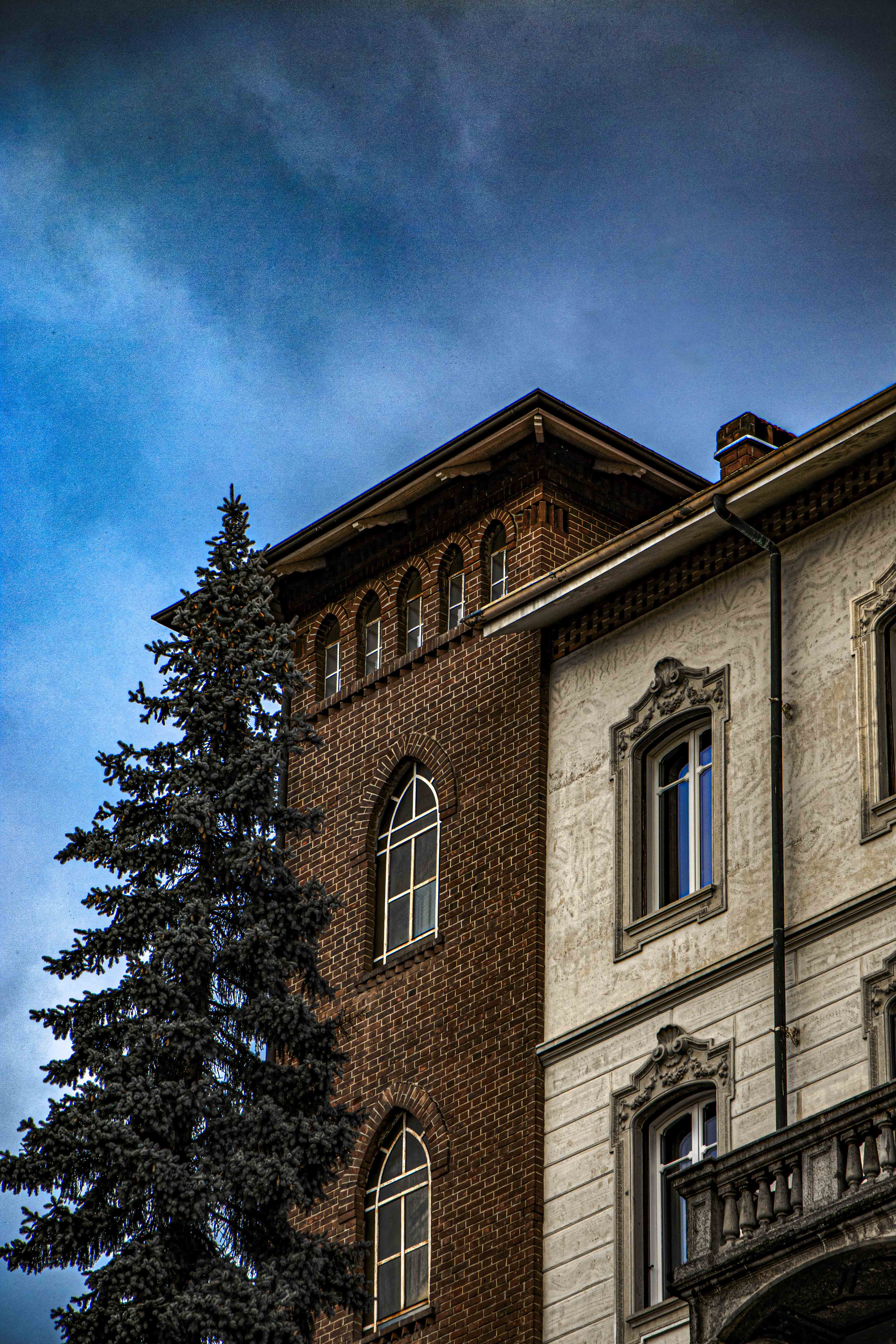 Sezione fotografia